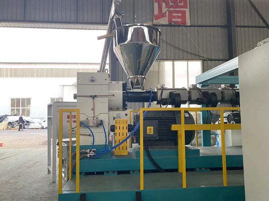 cadena de producción plástica de la protuberancia de la máquina/de la película de extrudado de la hoja 800kg/H
